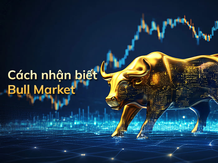 Cách nhận biết thị trường Bull Market