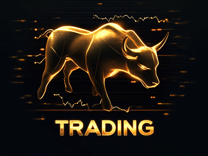 Chiến lược đầu tư khi thị trường Bull Market