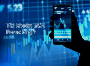 ECN fx