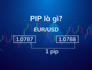 pip là gì